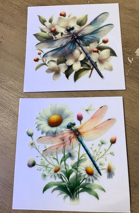 Dragonfly Decal set (1)