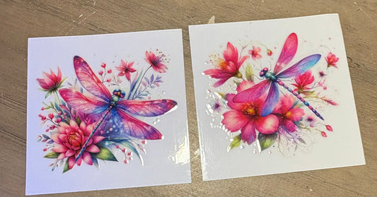 Dragonfly Decal set (5)