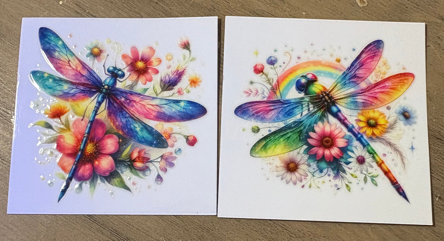 Dragonfly Decal set (3)