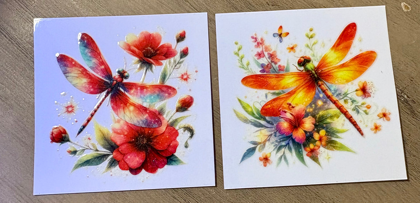 Dragonfly Decal set (2)