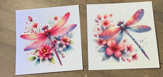 Dragonfly Decal set (8)